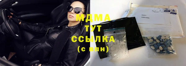 индика Алексин