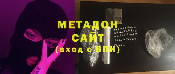 индика Алексин