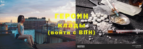 индика Алексин